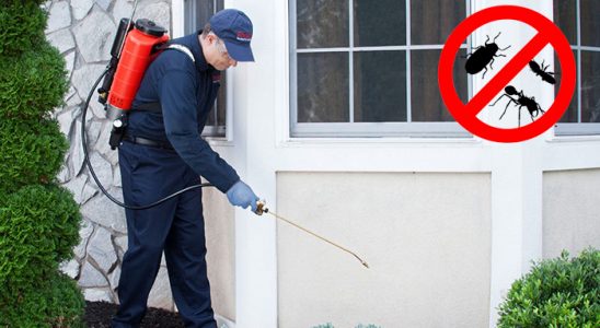 Arapgir Böcek ve Haşere İlaçlama böcek ilaçlama ve haşere kontrolü — ilaclama-tr.com